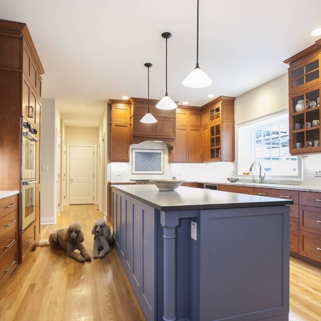 Renovated modern kitchen