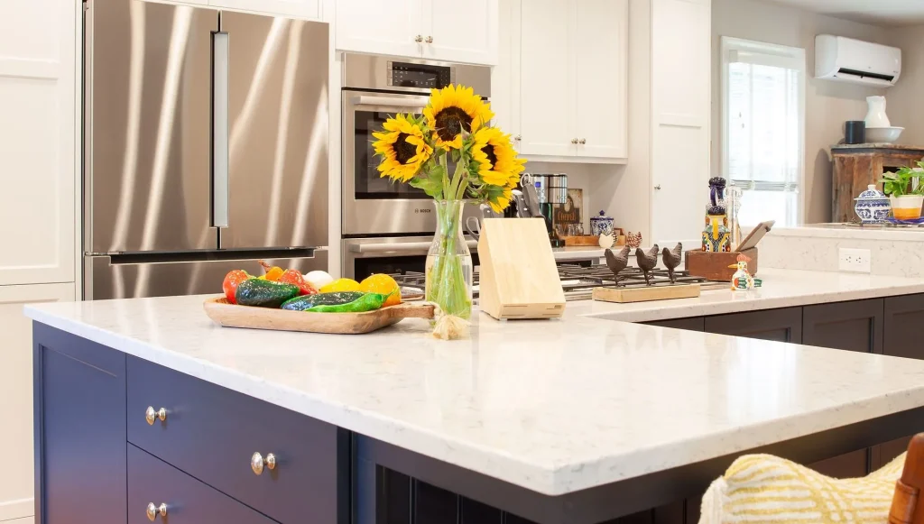 Renovated modern kitchen